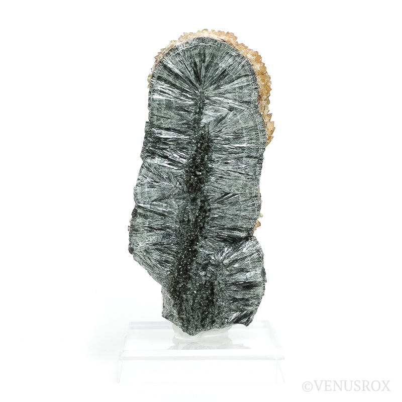 Seraphinite with Calcite Natural Crystal from Korshunovskoye Iron Scary Deposit, Irkutskaya Oblast, Siberia, Russia mounted on a stand | Venusrox