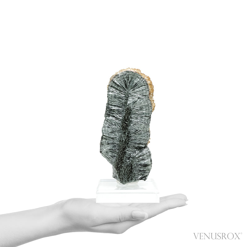 Seraphinite with Calcite Natural Crystal from Korshunovskoye Iron Scary Deposit, Irkutskaya Oblast, Siberia, Russia mounted on a stand | Venusrox