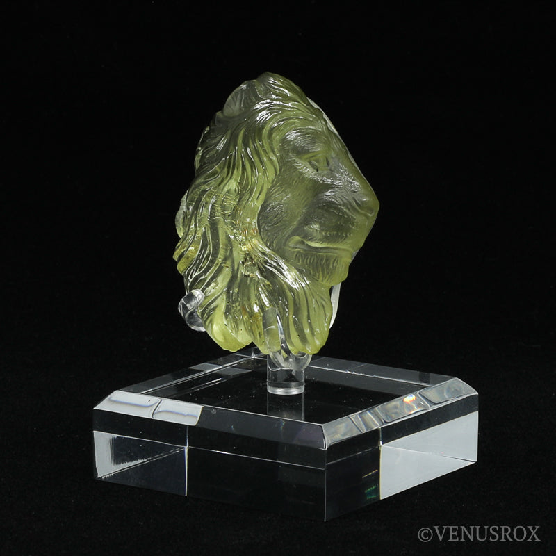 Libyan Gold Tektite Polished Lion's Head from the Libyan/Egyptian Border, Sahara Desert mounted on a bespoke stand | Venusrox