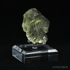 Libyan Gold Tektite Polished Lion's Head from the Libyan/Egyptian Border, Sahara Desert mounted on a bespoke stand | Venusrox