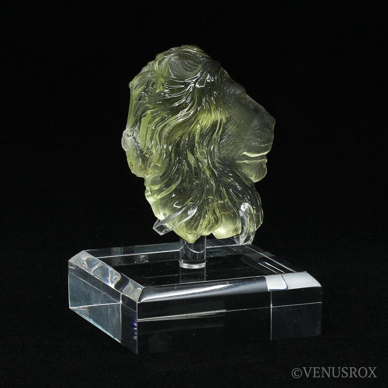 Libyan Gold Tektite Polished Lion's Head from the Libyan/Egyptian Border, Sahara Desert mounted on a bespoke stand | Venusrox