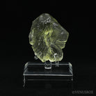 Libyan Gold Tektite Polished Lion's Head from the Libyan/Egyptian Border, Sahara Desert mounted on a bespoke stand | Venusrox