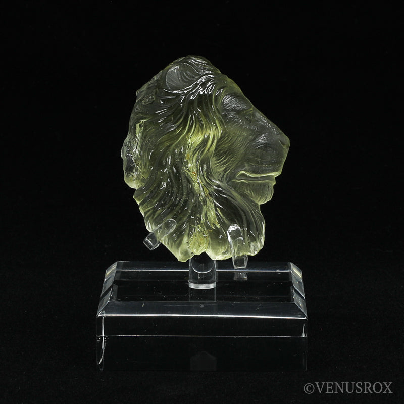 Libyan Gold Tektite Polished Lion's Head from the Libyan/Egyptian Border, Sahara Desert mounted on a bespoke stand | Venusrox
