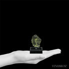 Libyan Gold Tektite Polished Lion's Head from the Libyan/Egyptian Border, Sahara Desert mounted on a bespoke stand | Venusrox