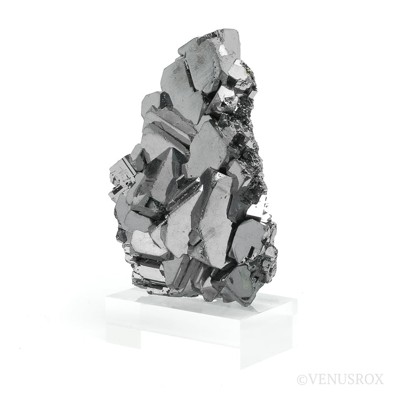 Galena with Chalcopyrite Natural Cluster from the Vtoroy Sovetskiy Mine, Dalnegorsk, Primorskiy Kray, Russia mounted on a bespoke stand | Venusrox