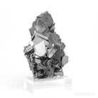 Galena with Chalcopyrite Natural Cluster from the Vtoroy Sovetskiy Mine, Dalnegorsk, Primorskiy Kray, Russia mounted on a bespoke stand | Venusrox