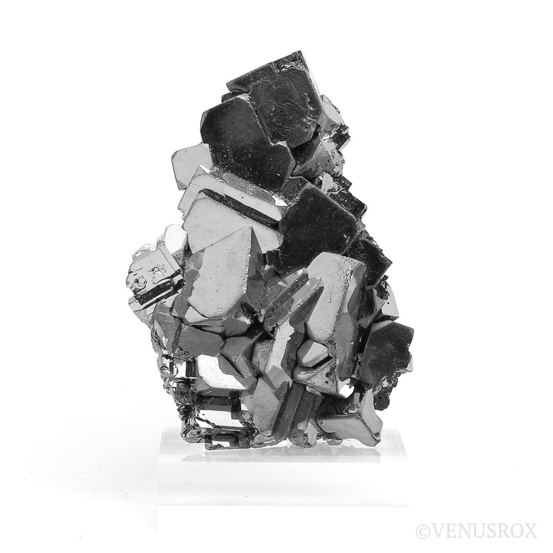 Galena with Chalcopyrite Natural Cluster from the Vtoroy Sovetskiy Mine, Dalnegorsk, Primorskiy Kray, Russia mounted on a bespoke stand | Venusrox