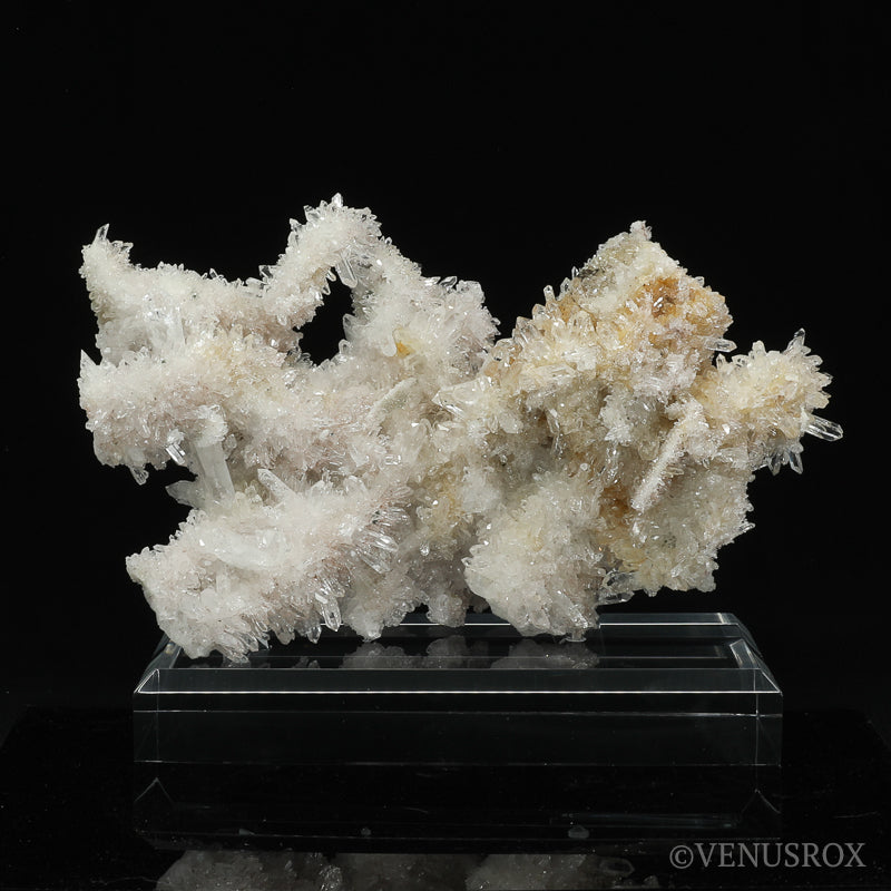Clear Quartz Natural Cluster from the Santander Province, Colombia mounted on a bespoke stand | Venusrox