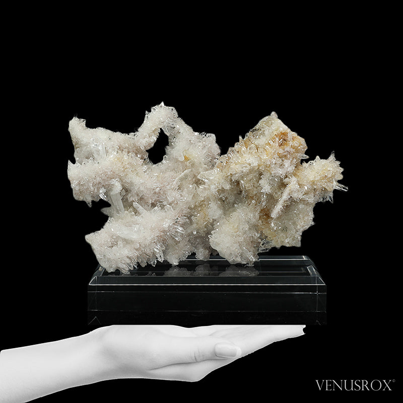 Clear Quartz Natural Cluster from the Santander Province, Colombia mounted on a bespoke stand | Venusrox