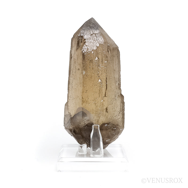 Elestial Citrine 'Cathedral' Natural Point from Brazil mounted on a bespoke stand | Venusrox