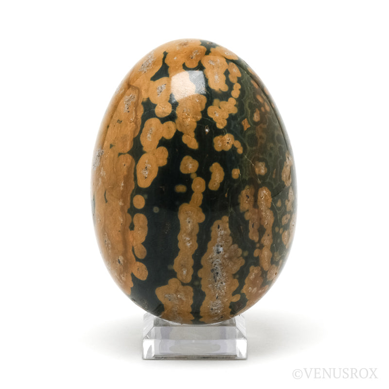 Ocean Jasper Egg from Madagascar | Venusrox
