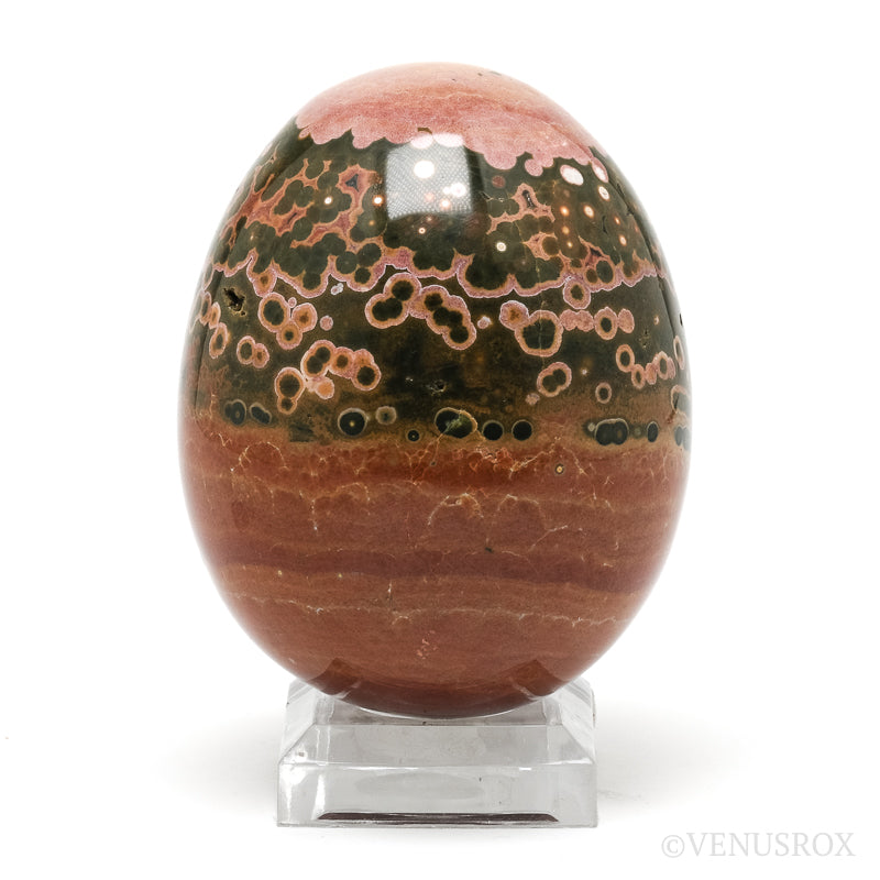 Ocean Jasper Egg from Madagascar | Venusrox