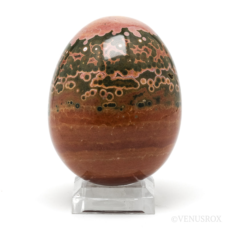 Ocean Jasper Egg from Madagascar | Venusrox