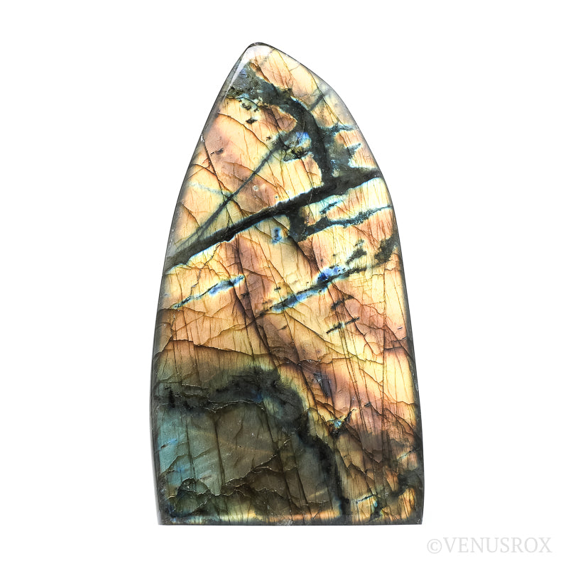 Labradorite Polished Freeform from Madagascar | Venusrox