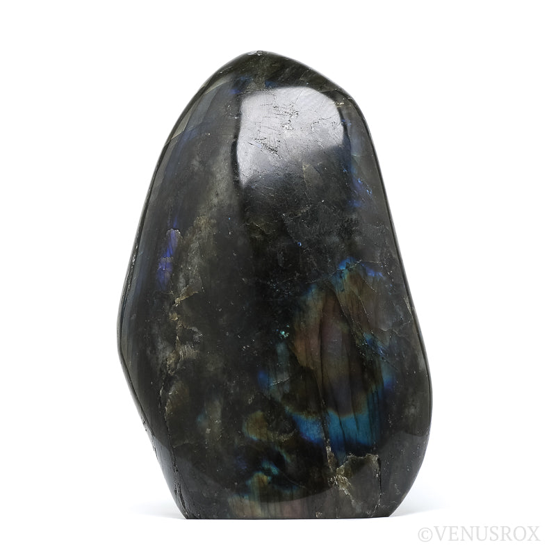 Labradorite Polished Freeform from Madagascar | Venusrox
