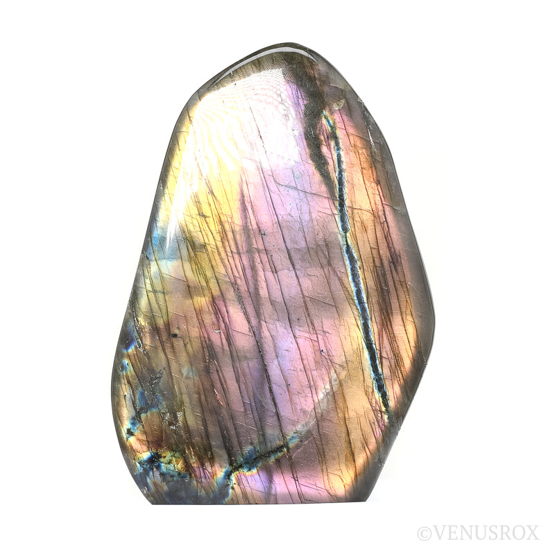 Labradorite Polished Freeform from Madagascar | Venusrox