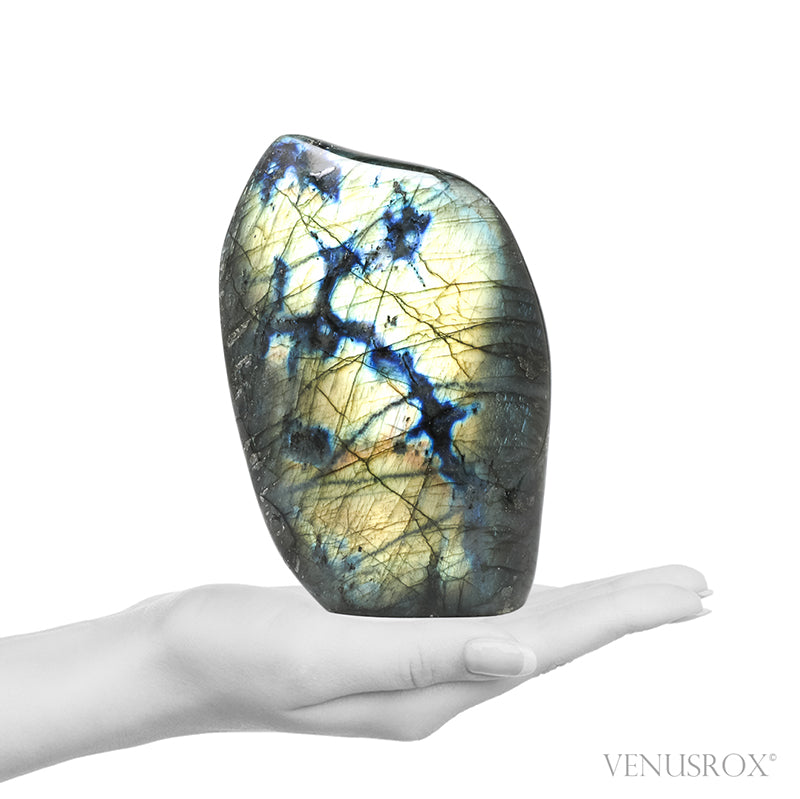 Labradorite Polished Freeform from Madagascar | Venusrox