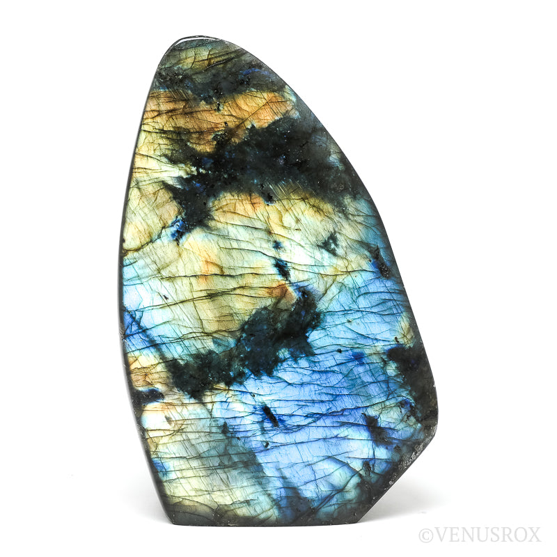 Labradorite Polished Freeform from Madagascar | Venusrox