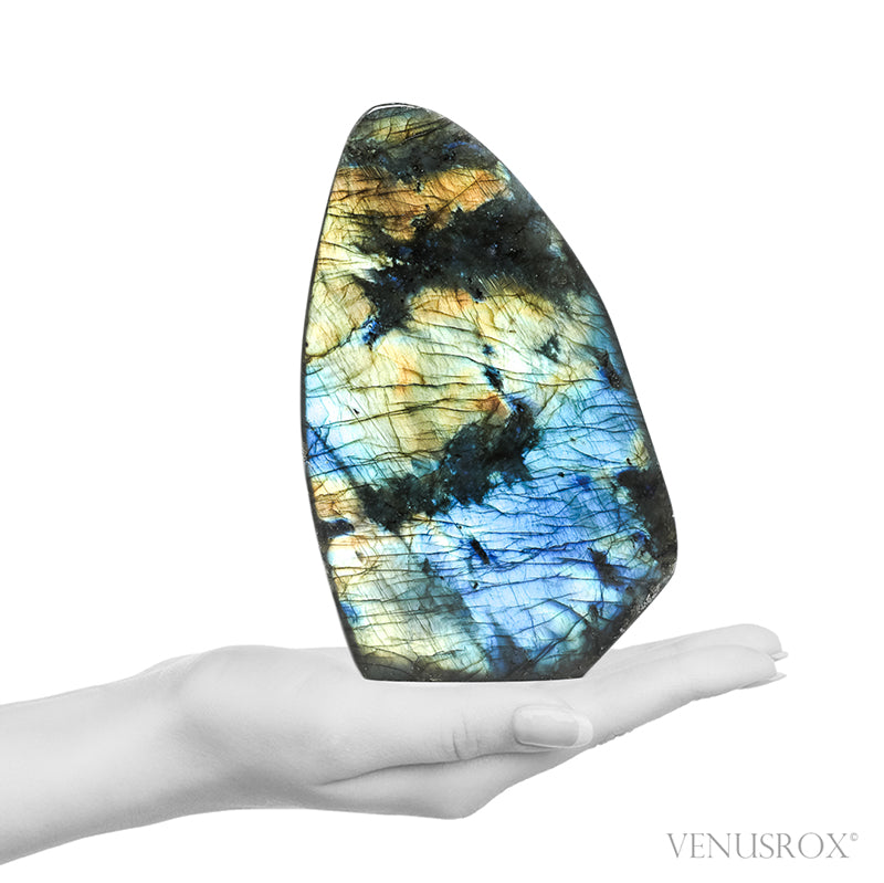 Labradorite Polished Freeform from Madagascar | Venusrox