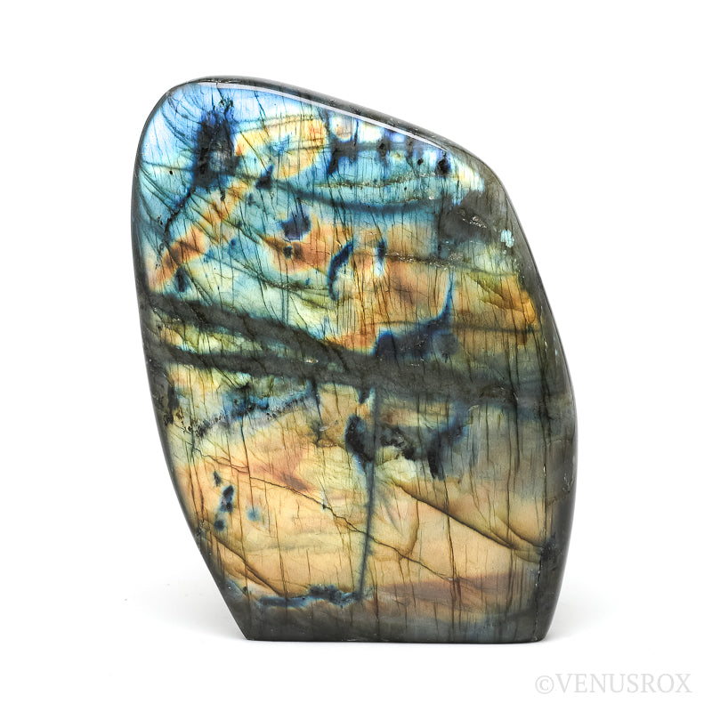 Labradorite Polished Freeform from Madagascar | Venusrox