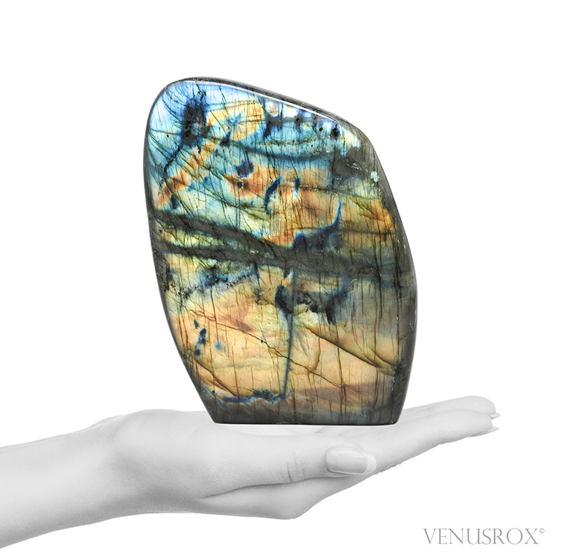 Labradorite Polished Freeform from Madagascar | Venusrox