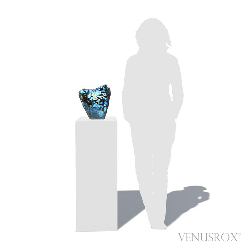 Labradorite Part Polished/Part Natural Freeform from Madagascar | Venusrox