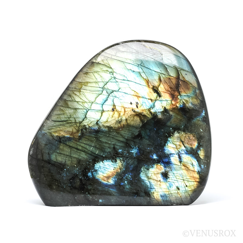 Labradorite Polished Freeform from Madagascar | Venusrox