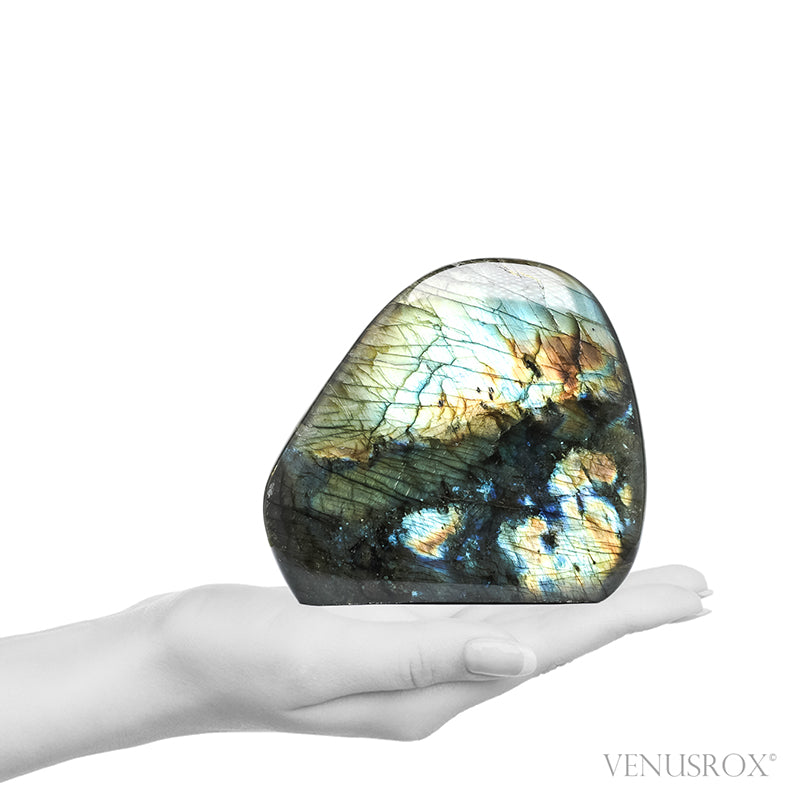 Labradorite Polished Freeform from Madagascar | Venusrox