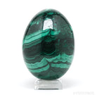 Malachite Polished Egg from the Democratic Republic of Congo | Venusrox