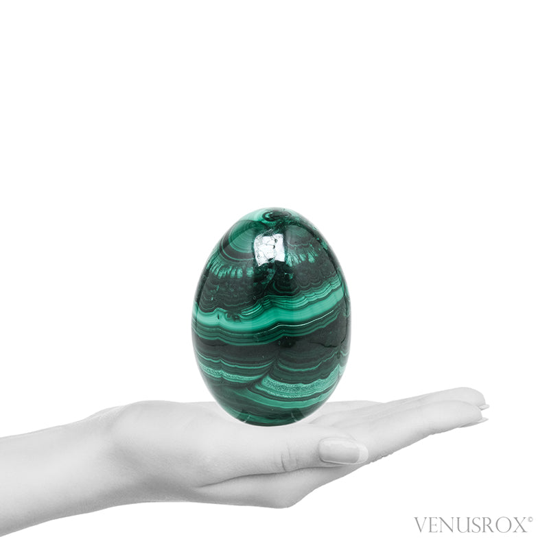 Malachite Polished Egg from the Democratic Republic of Congo | Venusrox