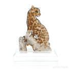 Dendritic Agate Polished Leopard from Madagascar mounted on a bespoke stand | Venusrox