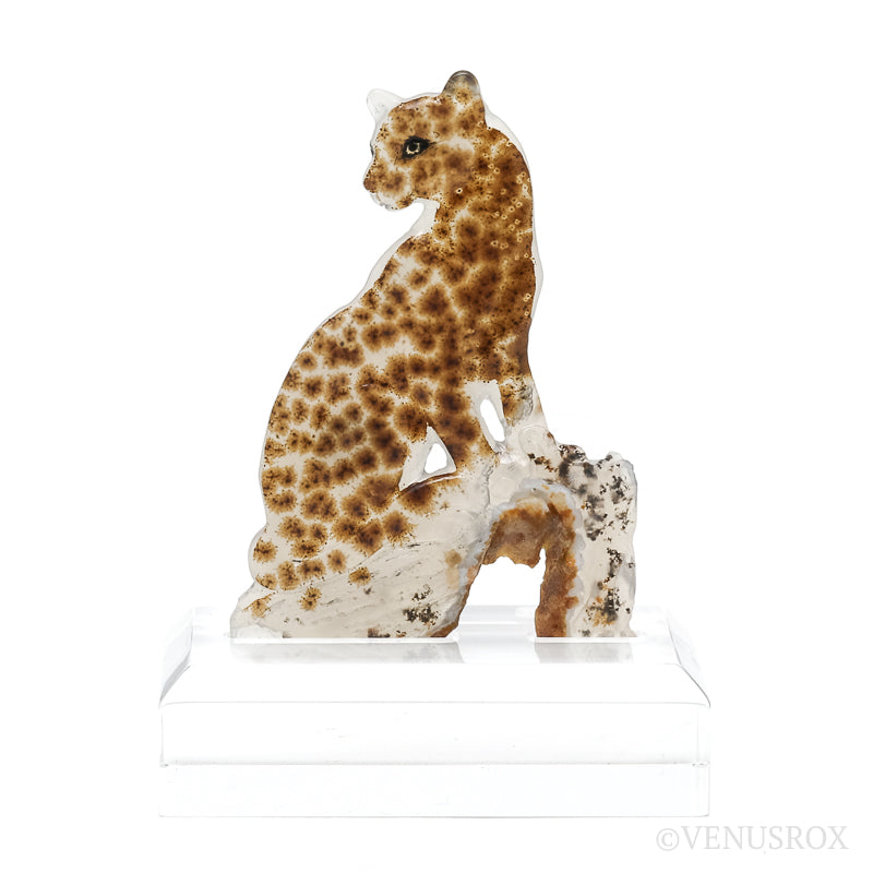 Dendritic Agate Polished Leopard from Madagascar mounted on a bespoke stand | Venusrox