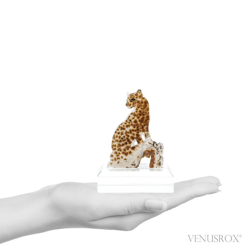 Dendritic Agate Polished Leopard from Madagascar mounted on a bespoke stand | Venusrox