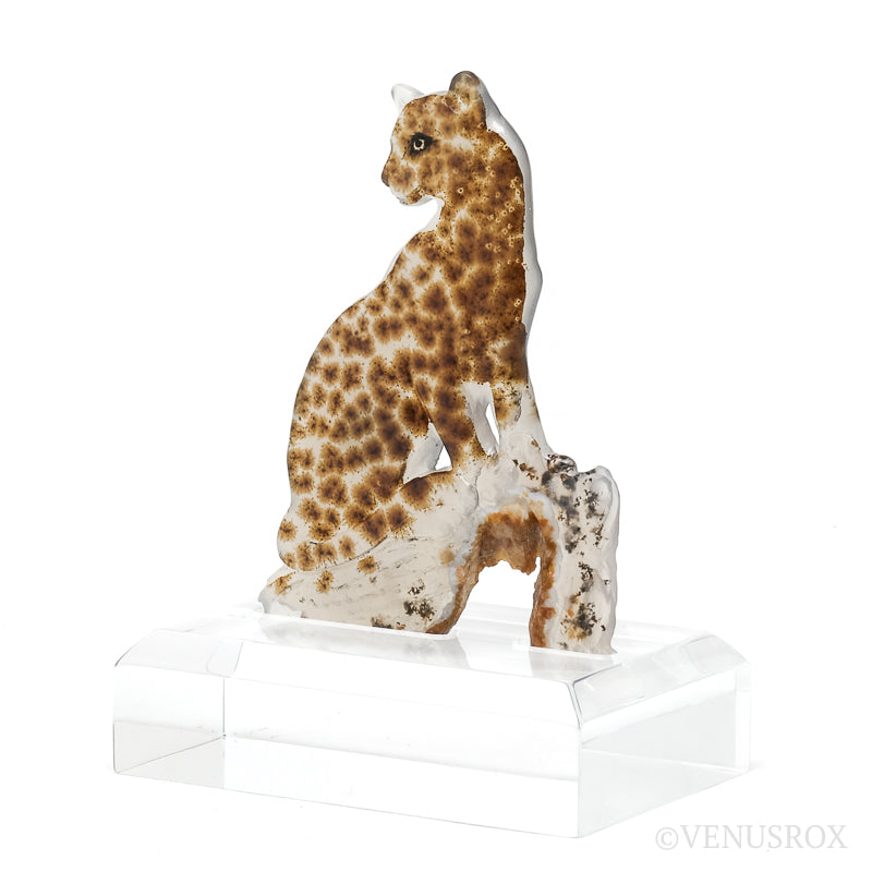 Dendritic Agate Polished Leopard from Madagascar mounted on a bespoke stand | Venusrox