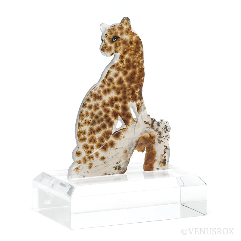 Dendritic Agate Polished Leopard from Madagascar mounted on a bespoke stand | Venusrox