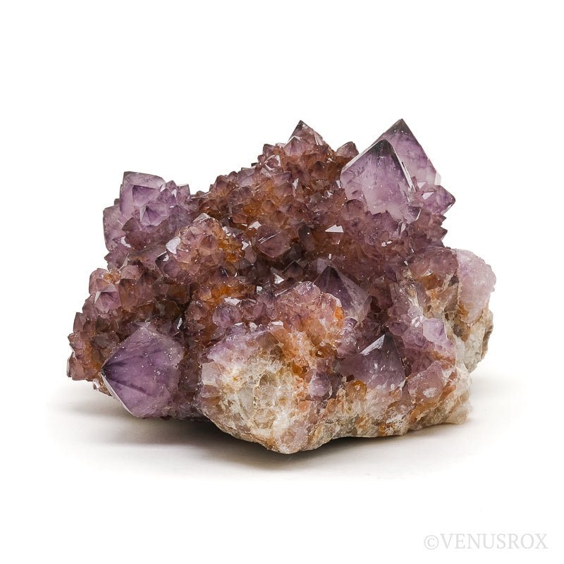 Amethyst Spirit Quartz Natural Cluster from Mpumalanga, South Africa | Venusrox