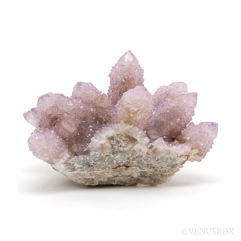 Amethyst Spirit Quartz Natural Cluster from Mpumalanga, South Africa | Venusrox