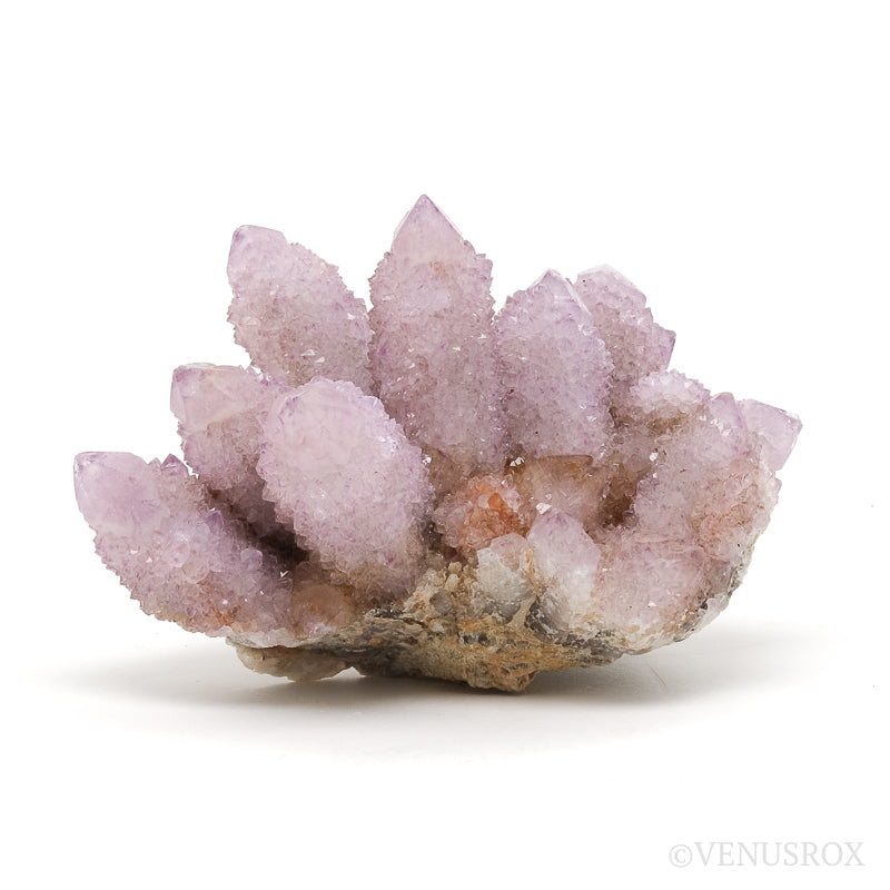 Amethyst Spirit Quartz Natural Cluster from Mpumalanga, South Africa | Venusrox