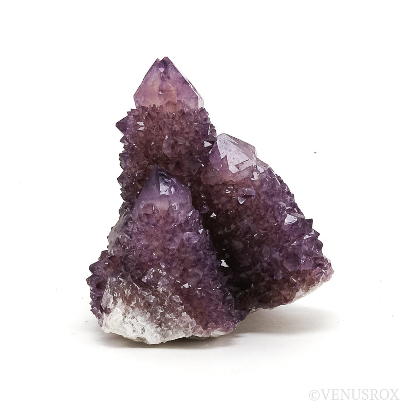 Amethyst Spirit Quartz Natural Cluster from Mpumalanga, South Africa | Venusrox