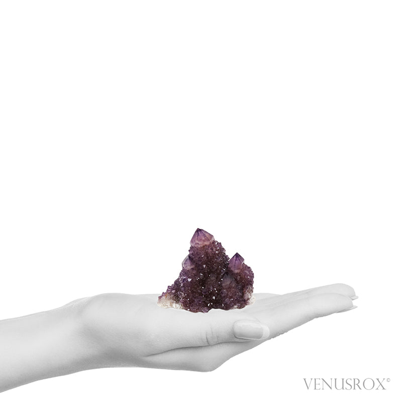 Amethyst Spirit Quartz Natural Cluster from Mpumalanga, South Africa | Venusrox