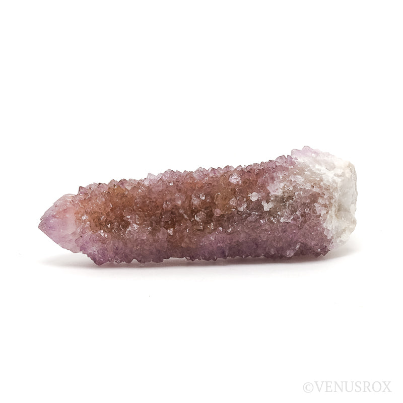 Amethyst Spirit Quartz Natural Cluster from Mpumalanga, South Africa | Venusrox