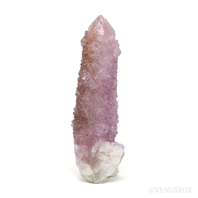 Amethyst Spirit Quartz Natural Cluster from Mpumalanga, South Africa | Venusrox