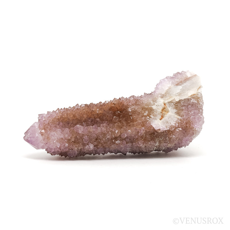 Amethyst Spirit Quartz Natural Cluster from Mpumalanga, South Africa | Venusrox