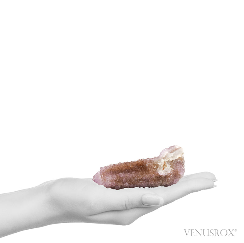 Amethyst Spirit Quartz Natural Cluster from Mpumalanga, South Africa | Venusrox