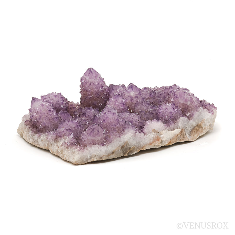 Amethyst Spirit Quartz Natural Cluster from Mpumalanga, South Africa | Venusrox