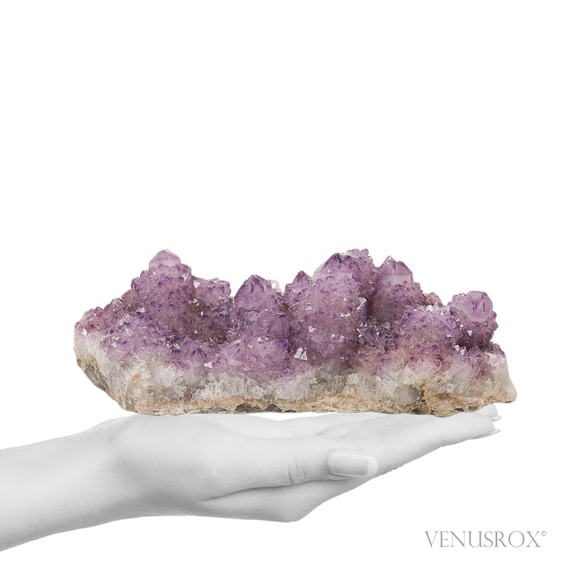 Amethyst Spirit Quartz Natural Cluster from Mpumalanga, South Africa | Venusrox