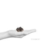 Smoky Quartz with Hematite Natural Cluster from Thunder Bay, Ontario, Canada | Venusrox