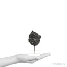 Sikhote-Alin Meteorite Shrapnel Fragment from the Sikhote-Alin Mountains, Russia mounted on a bespoke stand | Venusrox