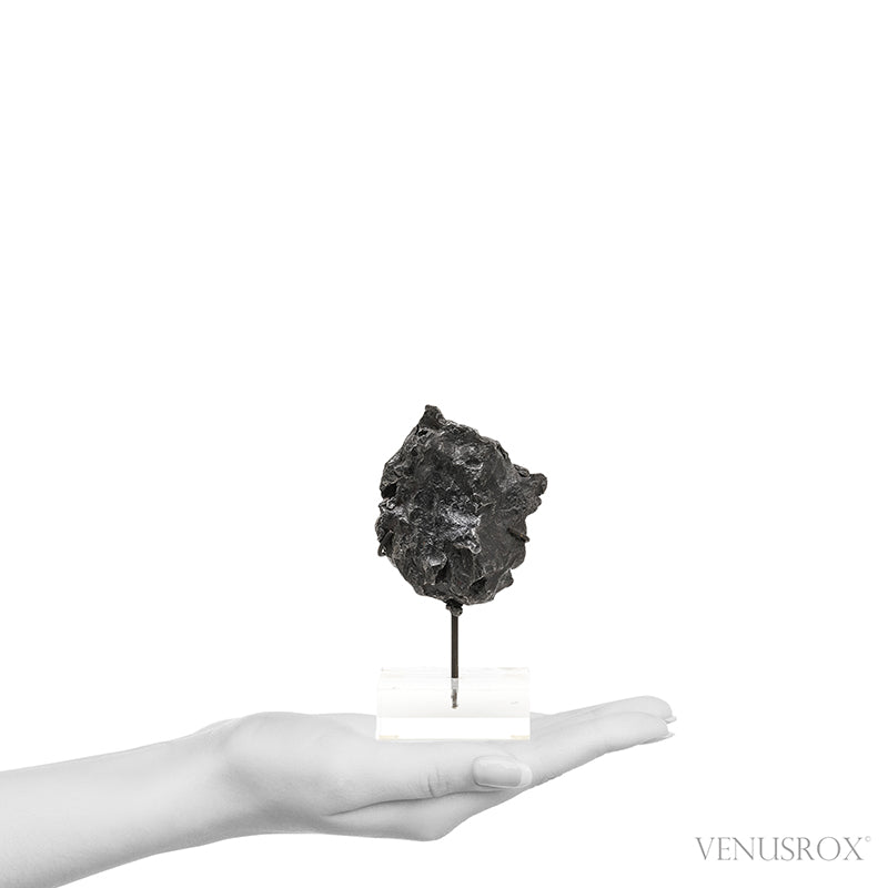 Sikhote-Alin Meteorite Shrapnel Fragment from the Sikhote-Alin Mountains, Russia mounted on a bespoke stand | Venusrox