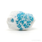 Turquoise Natural Crystal from Blue Ridge, Sonora, Mexico | Venusrox